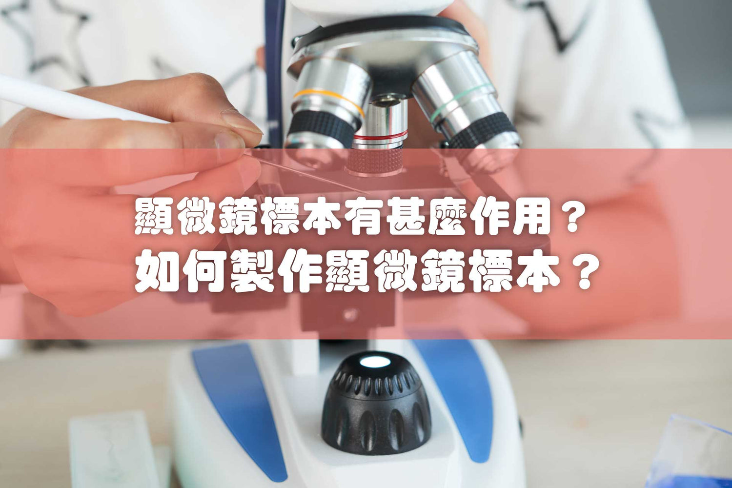 顯微鏡標本有甚麼作用?如何製作顯微鏡標本?