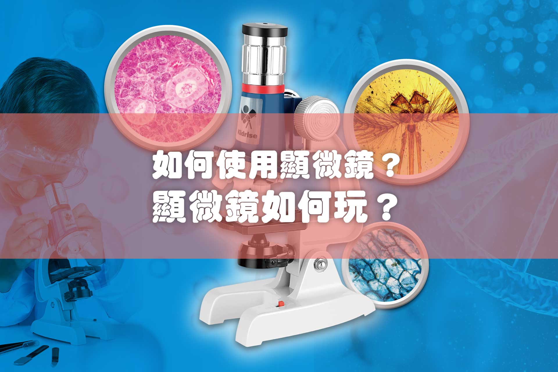 如何使用顯微鏡？顯微鏡如何玩？