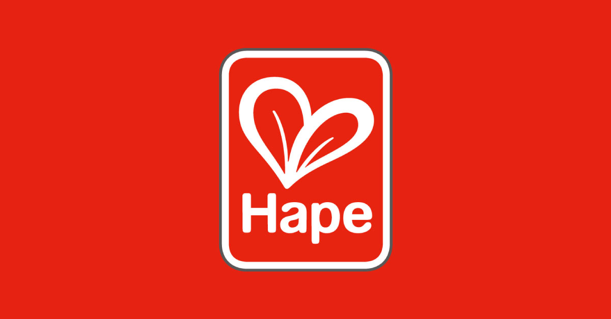 Hape 德國幼童益智教育玩具系列