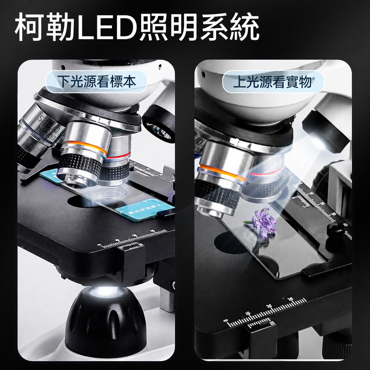 德國BRESSER中小學生高倍數生物顯微鏡 (2000倍放大/雙光源/粗幼同軸)