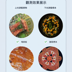 德國BRESSER中小學生高倍數生物顯微鏡 (2000倍放大/雙光源/粗幼同軸)