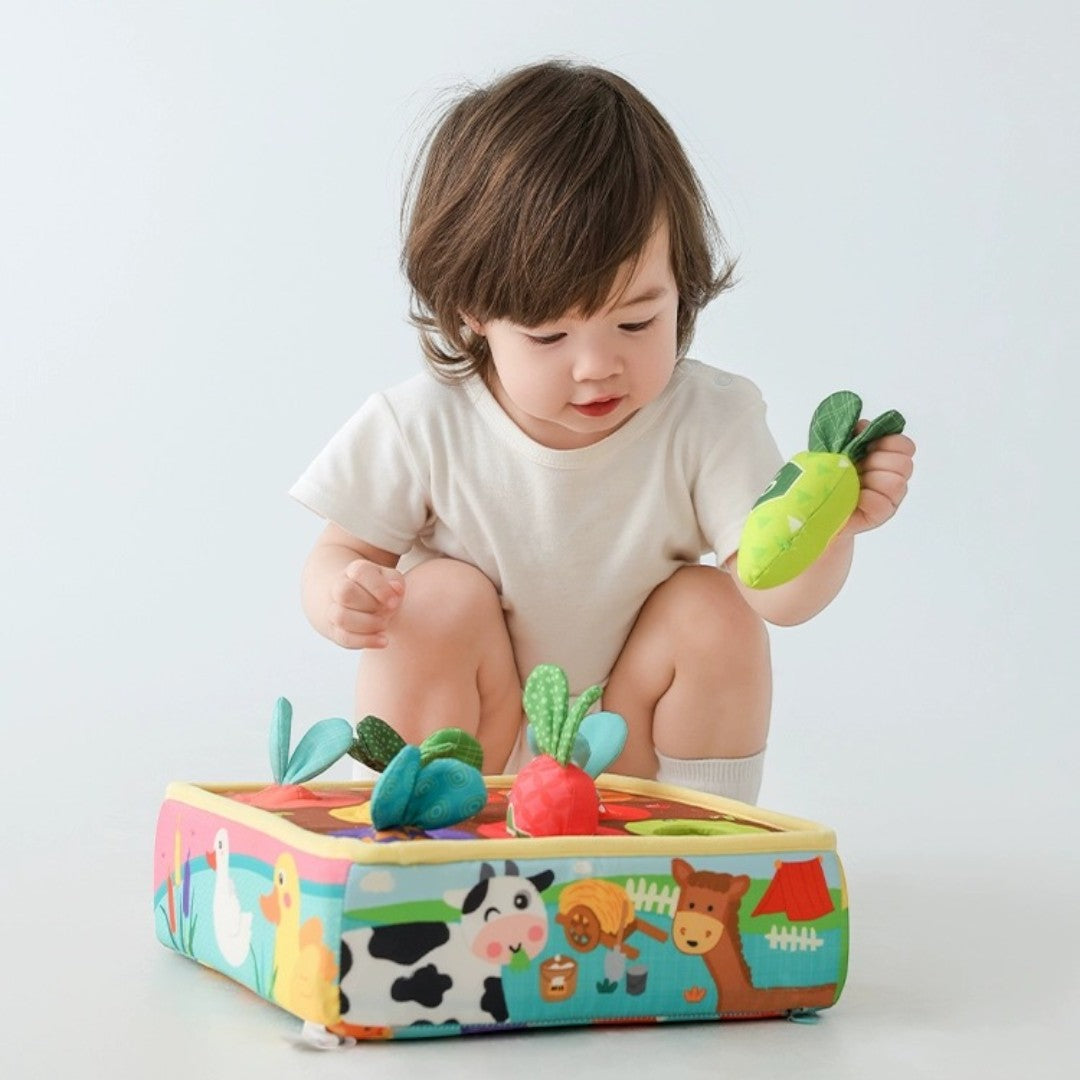 Jollybaby 農場七彩胡蘿蔔拔拔樂 啓蒙玩具-蒙特梭利玩具-Kidrise🧒🏻STEM香港教育玩具｜STEAM科學實驗玩具｜STEM幼兒教育玩具｜啟智早教玩具｜蒙特梭利教具