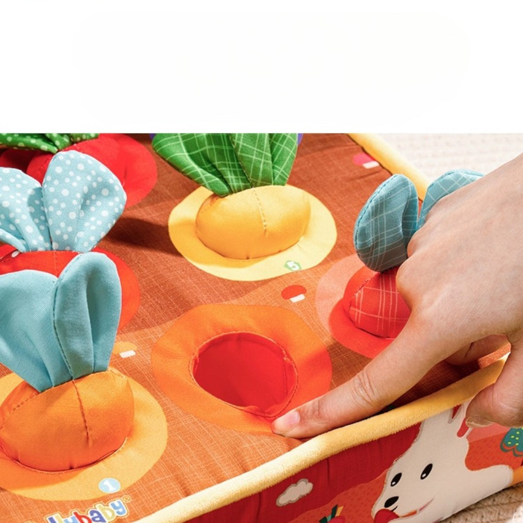 Jollybaby 農場七彩胡蘿蔔拔拔樂 啓蒙玩具-蒙特梭利玩具-Kidrise🧒🏻STEM香港教育玩具｜STEAM科學實驗玩具｜STEM幼兒教育玩具｜啟智早教玩具｜蒙特梭利教具