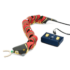 【加拿大直送】KiwiCo 遙控仿生機械蛇 DIY 實驗套裝 (運輸時間約需 10 至 14 個工作天)-STEM玩具-Kidrise🧒🏻STEM香港教育玩具｜STEAM科學實驗玩具｜STEM幼兒教育玩具｜啟智早教玩具｜蒙特梭利教具