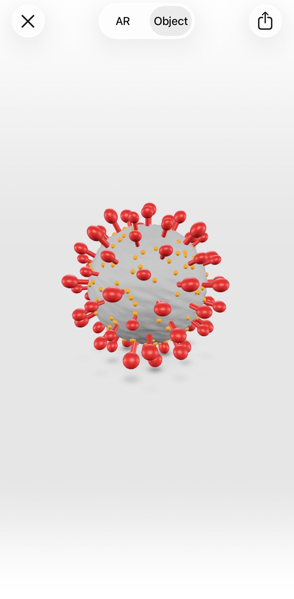 Kidrise 顯微探秘App - 專屬 Web App 數位配套 (不是實體玩具)-STEM Web App-Kidrise🧒🏻STEM香港教育玩具｜STEAM科學實驗玩具｜STEM幼兒教育玩具｜啟智早教玩具｜蒙特梭利教具