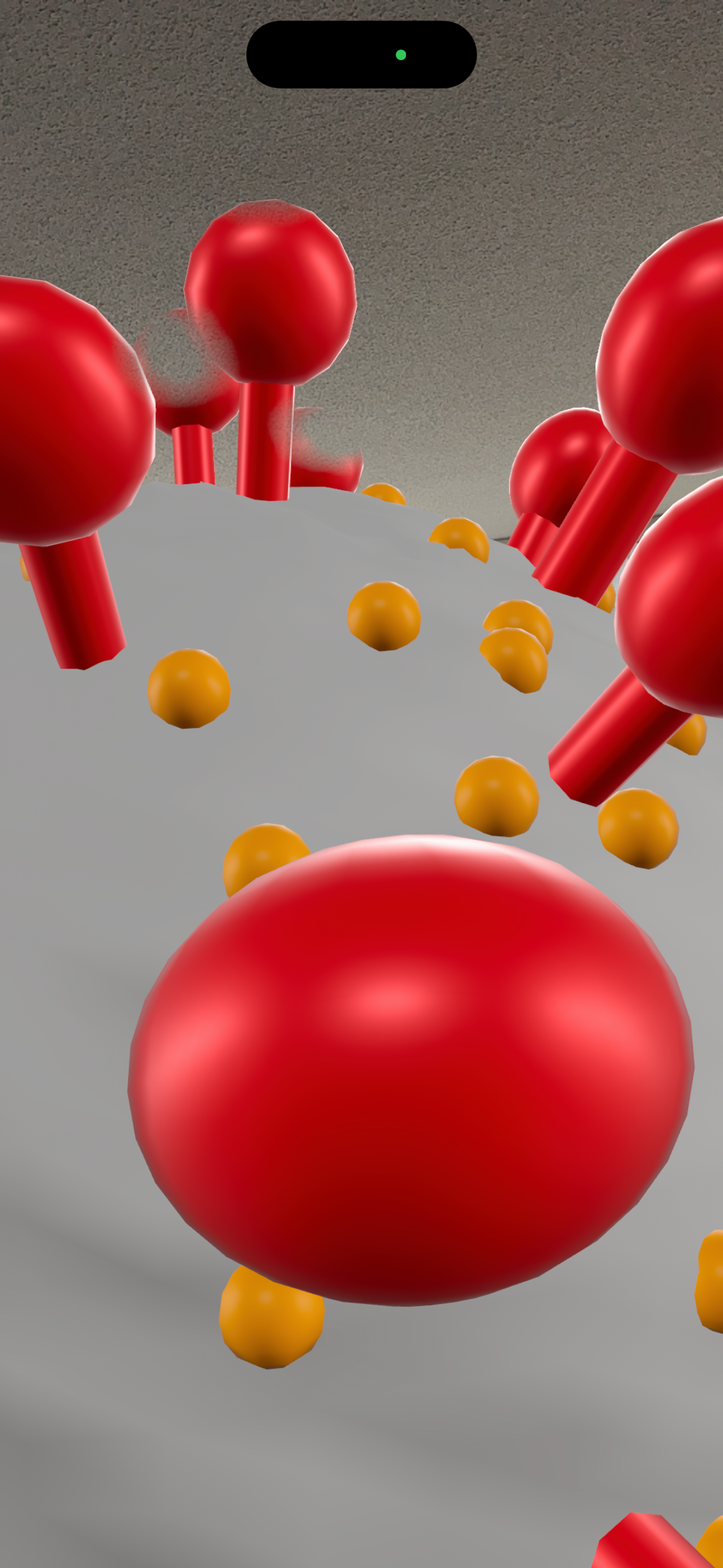 Kidrise 顯微探秘App - 專屬 Web App 數位配套 (不是實體玩具)-STEM Web App-Kidrise🧒🏻STEM香港教育玩具｜STEAM科學實驗玩具｜STEM幼兒教育玩具｜啟智早教玩具｜蒙特梭利教具