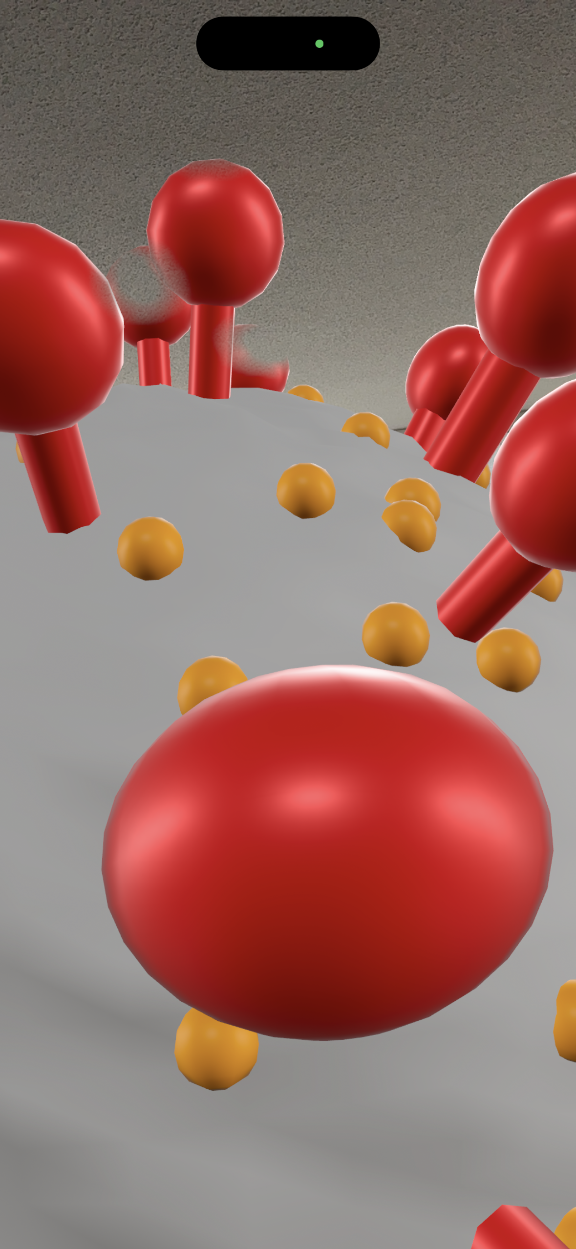 Kidrise 顯微探秘App - 專屬 Web App 數位配套 (不是實體玩具)-STEM Web App-Kidrise🧒🏻STEM香港教育玩具｜STEAM科學實驗玩具｜STEM幼兒教育玩具｜啟智早教玩具｜蒙特梭利教具