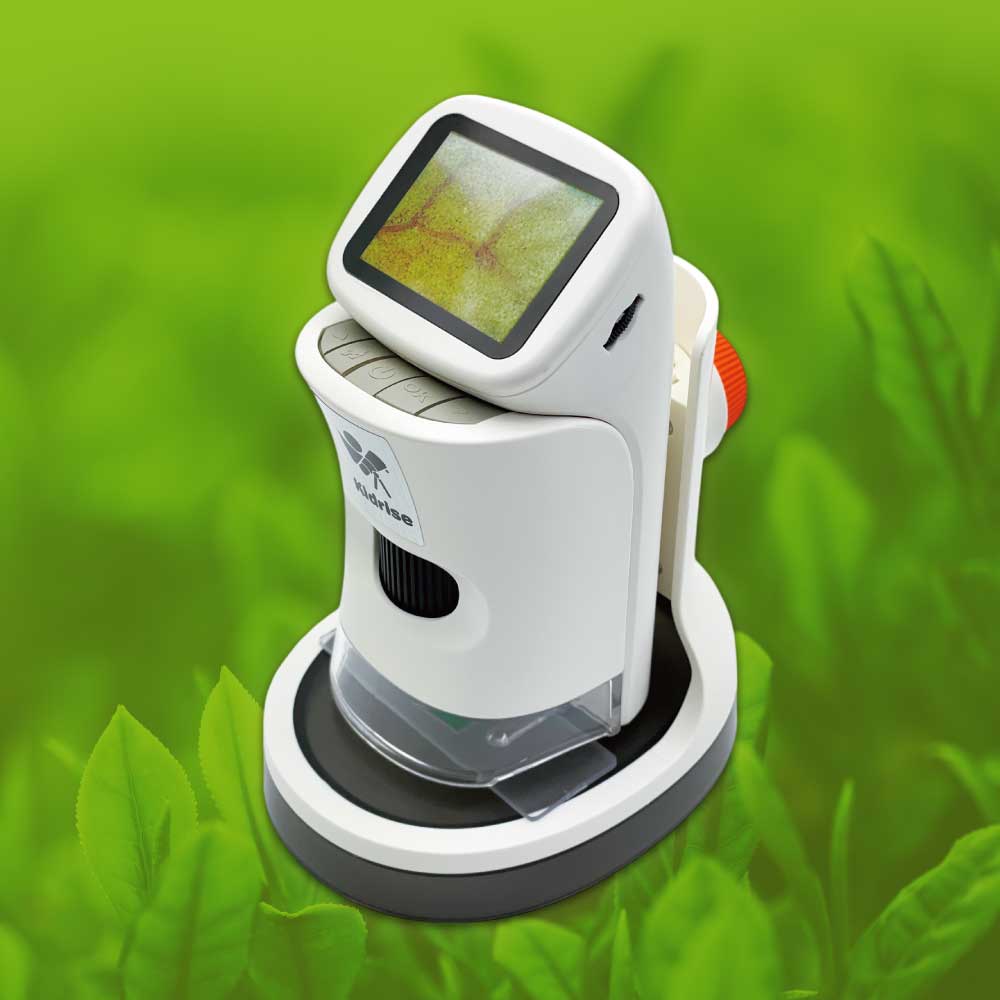 【觀塘自取】Kidrise 1000倍LED屏可拍照兒童數碼顯微鏡 (可拍照可錄影・連4GB SD卡)-STEM玩具-Kidrise🧒🏻STEM香港教育玩具｜STEAM科學實驗玩具｜STEM幼兒教育玩具｜啟智早教玩具｜蒙特梭利教具