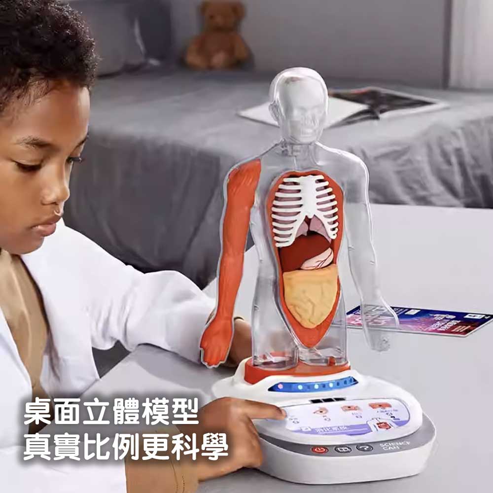 Science Can人體解剖模型兒童玩具-STEM玩具-Kidrise🧒🏻STEM香港教育玩具｜STEAM科學實驗玩具｜STEM幼兒教育玩具｜啟智早教玩具｜蒙特梭利教具