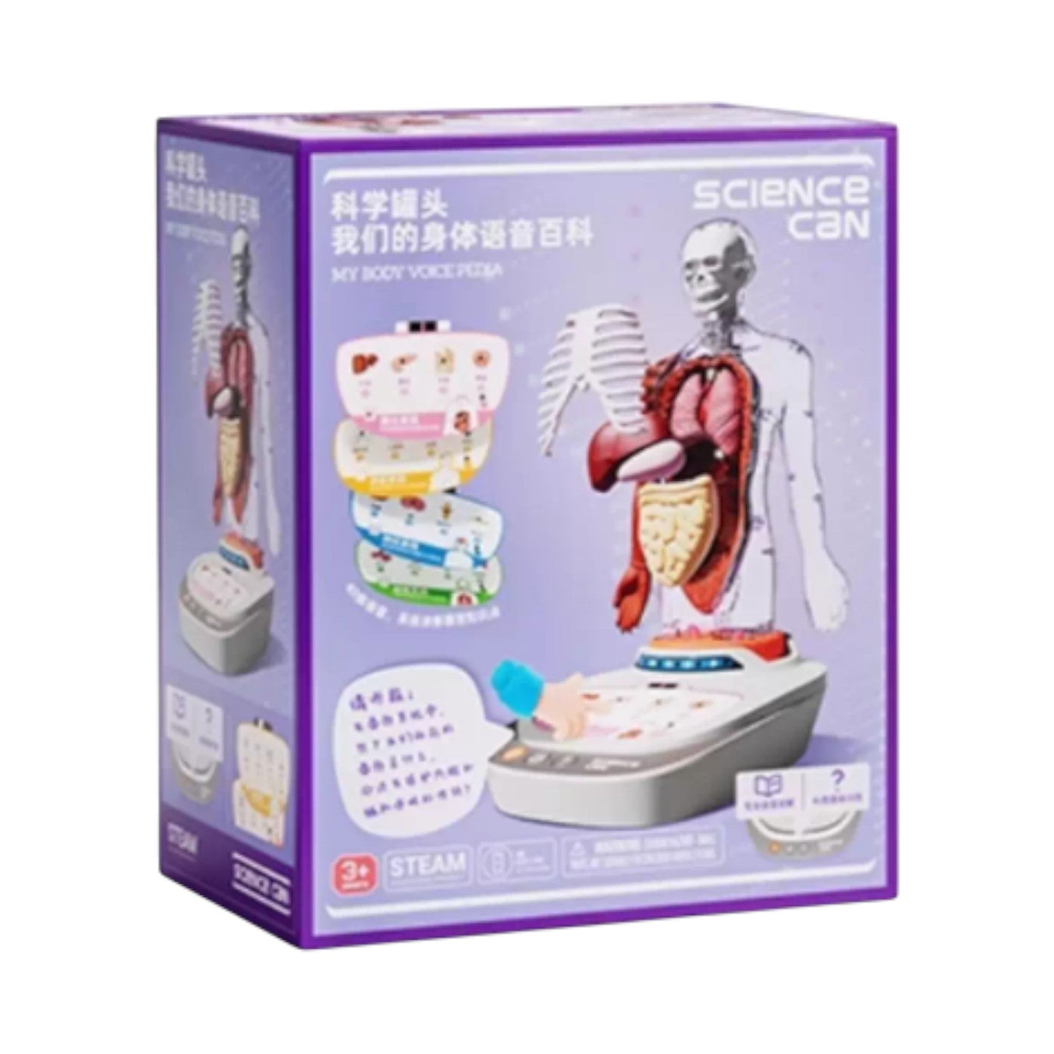 Science Can人體解剖模型兒童玩具-STEM玩具-Kidrise🧒🏻STEM香港教育玩具｜STEAM科學實驗玩具｜STEM幼兒教育玩具｜啟智早教玩具｜蒙特梭利教具