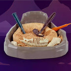 Science Can恐龍化石考古挖掘套裝 (暴龍＋棘龍＋翼龍)-STEM玩具-Kidrise🧒🏻STEM香港教育玩具｜STEAM科學實驗玩具｜STEM幼兒教育玩具｜啟智早教玩具｜蒙特梭利教具