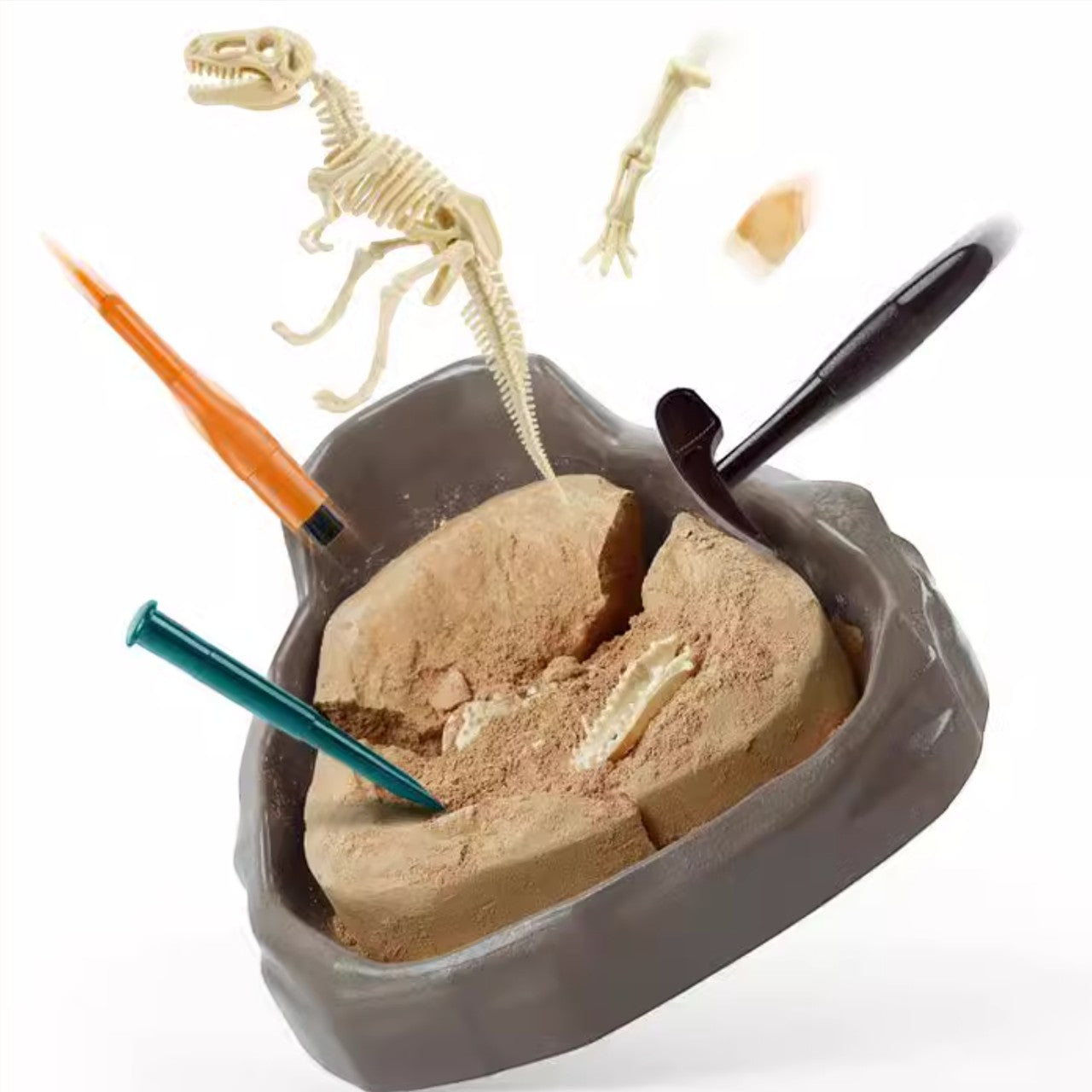 Science Can恐龍化石考古挖掘套裝 (暴龍＋棘龍＋翼龍)-STEM玩具-Kidrise🧒🏻STEM香港教育玩具｜STEAM科學實驗玩具｜STEM幼兒教育玩具｜啟智早教玩具｜蒙特梭利教具