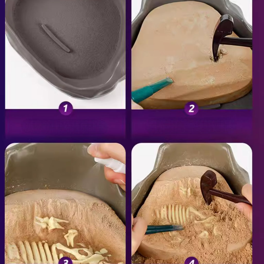 Science Can恐龍化石考古挖掘套裝 (暴龍＋棘龍＋翼龍)-STEM玩具-Kidrise🧒🏻STEM香港教育玩具｜STEAM科學實驗玩具｜STEM幼兒教育玩具｜啟智早教玩具｜蒙特梭利教具