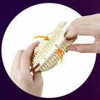 Science Can恐龍化石考古挖掘套裝 (暴龍＋棘龍＋翼龍)-STEM玩具-Kidrise🧒🏻STEM香港教育玩具｜STEAM科學實驗玩具｜STEM幼兒教育玩具｜啟智早教玩具｜蒙特梭利教具