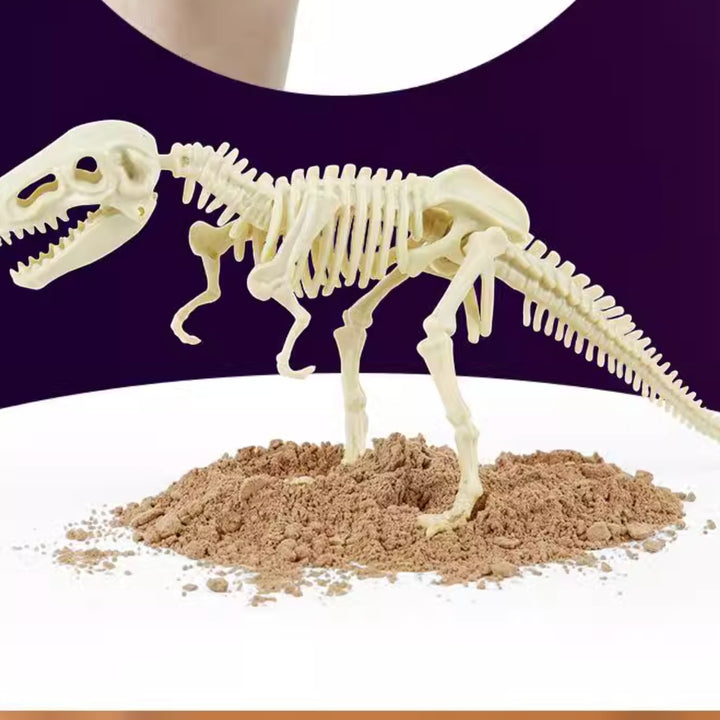 Science Can恐龍化石考古挖掘套裝 (暴龍 T-Rex)-STEM玩具-Kidrise🧒🏻STEM香港教育玩具｜STEAM科學實驗玩具｜STEM幼兒教育玩具｜啟智早教玩具｜蒙特梭利教具