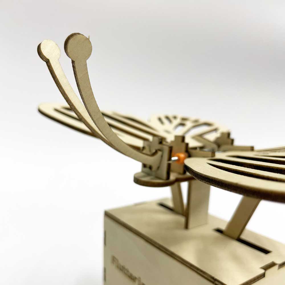 Kidrise STEM教學木模型玩具｜蝴蝶木模型玩具-STEM玩具-Kidrise🧒🏻STEM香港教育玩具｜STEAM科學實驗玩具｜STEM幼兒教育玩具｜啟智早教玩具｜蒙特梭利教具