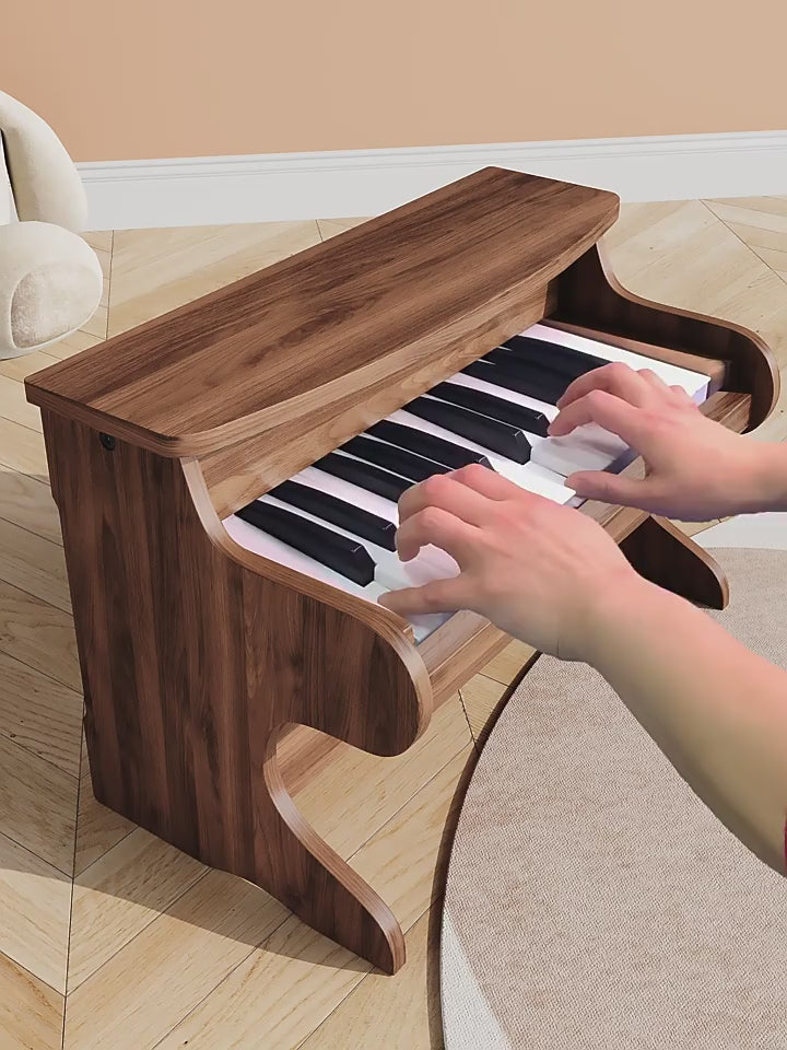 Germany RICZAC beginner wooden small piano 25 key wooden electronic piano