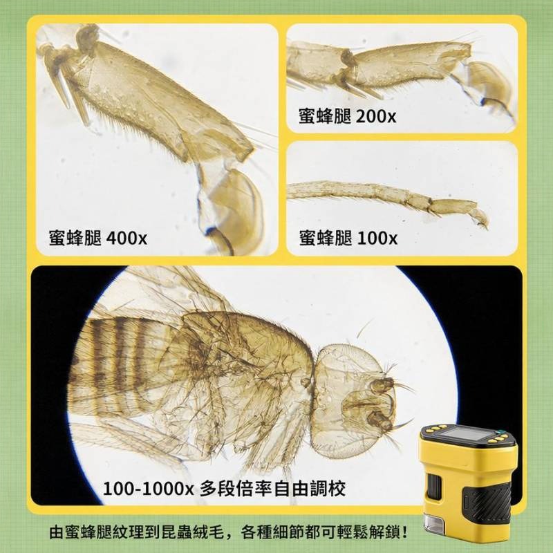 National Geographic 國家地理 兒童手持電子顯微鏡 (2吋屏幕/1000倍放大/1080P攝錄)