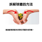 日本LaQ兒童益智拼裝積木玩具(Basic 511 基礎入門｜650片)-STEM玩具-Kidrise🧒🏻STEM香港教育玩具｜STEAM科學實驗玩具｜STEM幼兒教育玩具｜啟智早教玩具｜蒙特梭利教具