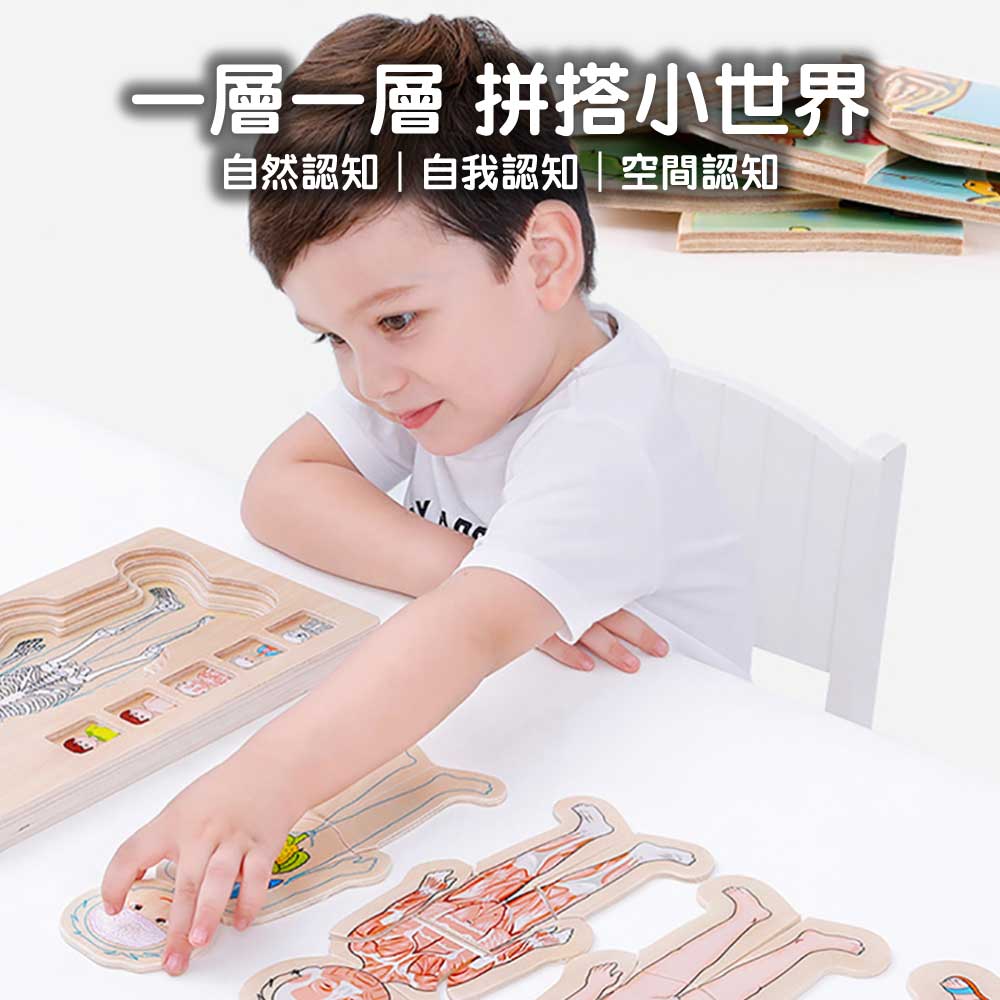 Onshine幼兒蒙氏多層實木拼圖 (人體結構｜女孩)-蒙特梭利玩具-Kidrise🧒🏻STEM香港教育玩具｜STEAM科學實驗玩具｜STEM幼兒教育玩具｜啟智早教玩具｜蒙特梭利教具