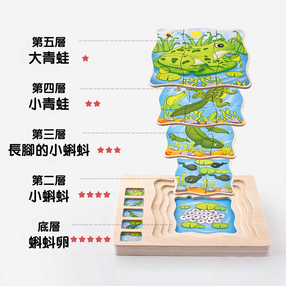 Onshine幼兒蒙氏多層實木拼圖 (成長過程｜青蛙)-蒙特梭利玩具-Kidrise🧒🏻STEM香港教育玩具｜STEAM科學實驗玩具｜STEM幼兒教育玩具｜啟智早教玩具｜蒙特梭利教具
