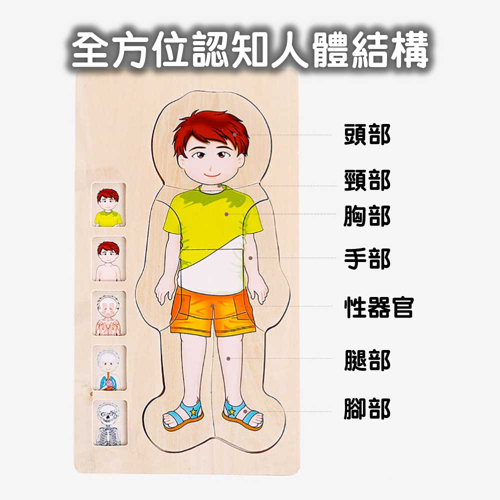 Onshine幼兒蒙氏多層實木拼圖 (人體結構｜女孩)-蒙特梭利玩具-Kidrise🧒🏻STEM香港教育玩具｜STEAM科學實驗玩具｜STEM幼兒教育玩具｜啟智早教玩具｜蒙特梭利教具