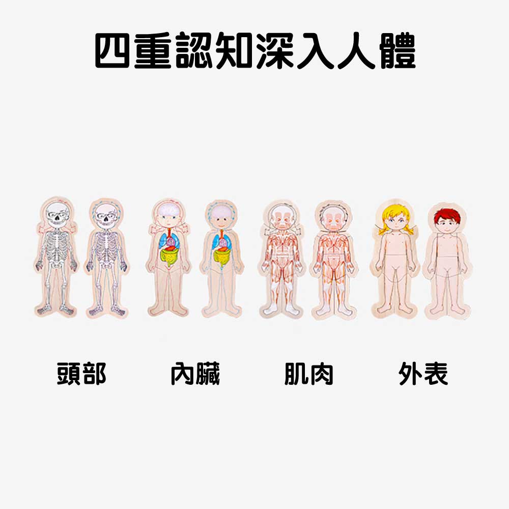 Onshine幼兒蒙氏多層實木拼圖 (人體結構｜男孩)-蒙特梭利玩具-Kidrise🧒🏻STEM香港教育玩具｜STEAM科學實驗玩具｜STEM幼兒教育玩具｜啟智早教玩具｜蒙特梭利教具
