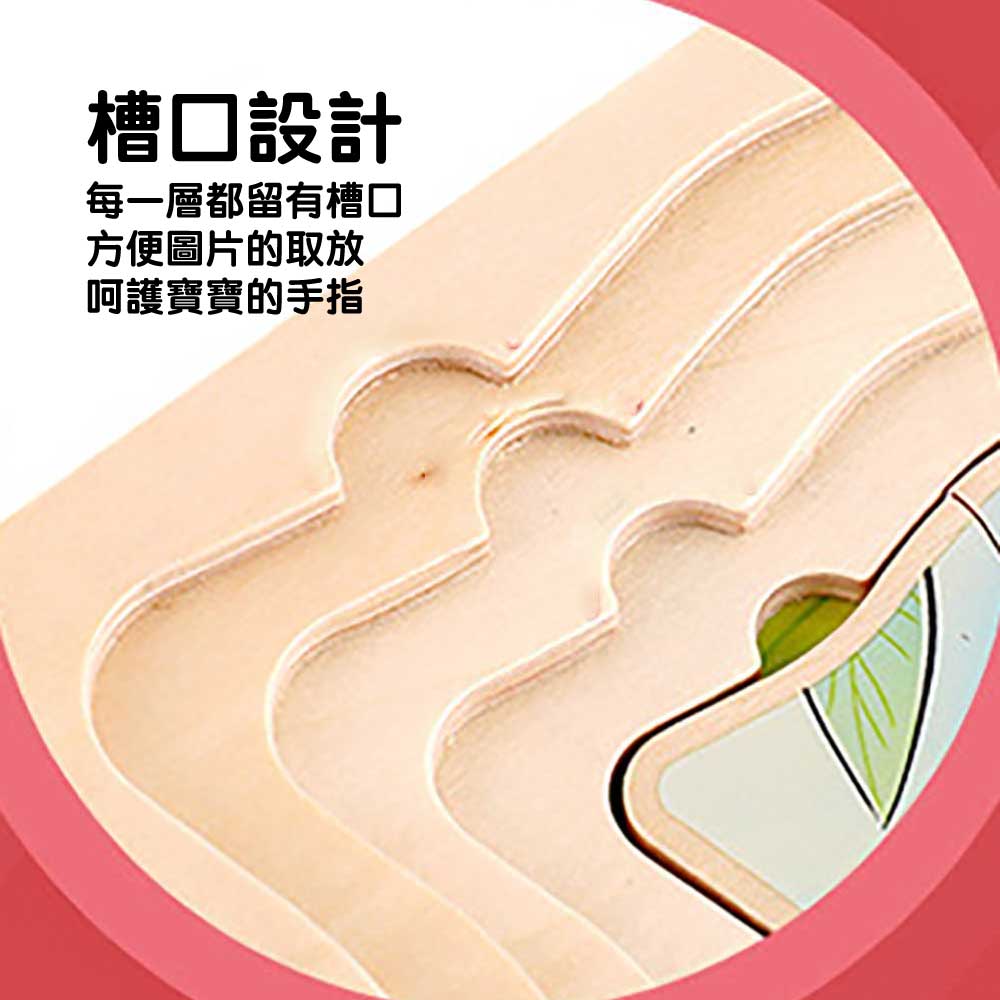 Onshine幼兒蒙氏多層實木拼圖 (成長過程｜青蛙)-蒙特梭利玩具-Kidrise🧒🏻STEM香港教育玩具｜STEAM科學實驗玩具｜STEM幼兒教育玩具｜啟智早教玩具｜蒙特梭利教具