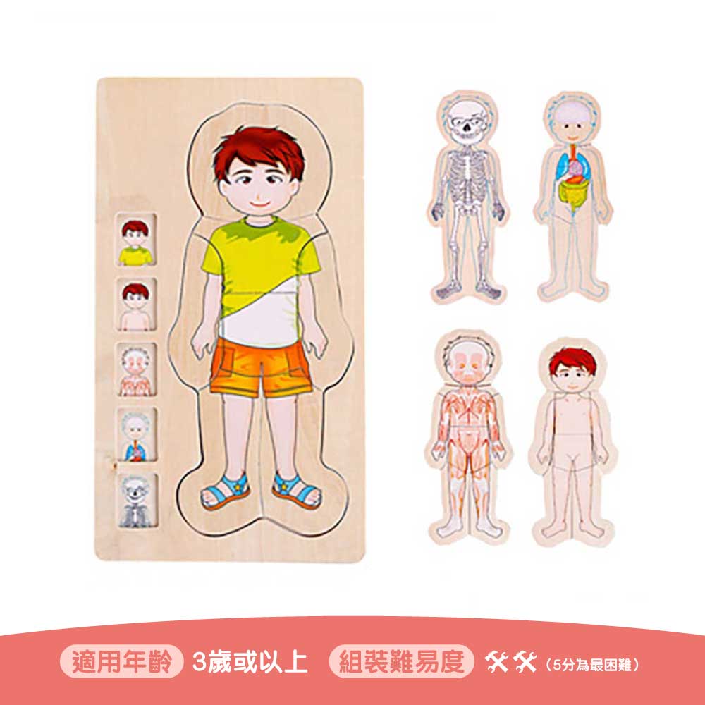 Onshine幼兒蒙氏多層實木拼圖 (人體結構｜男孩)-蒙特梭利玩具-Kidrise🧒🏻STEM香港教育玩具｜STEAM科學實驗玩具｜STEM幼兒教育玩具｜啟智早教玩具｜蒙特梭利教具