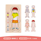 Onshine幼兒蒙氏多層實木拼圖 (人體結構｜男孩)-蒙特梭利玩具-Kidrise🧒🏻STEM香港教育玩具｜STEAM科學實驗玩具｜STEM幼兒教育玩具｜啟智早教玩具｜蒙特梭利教具