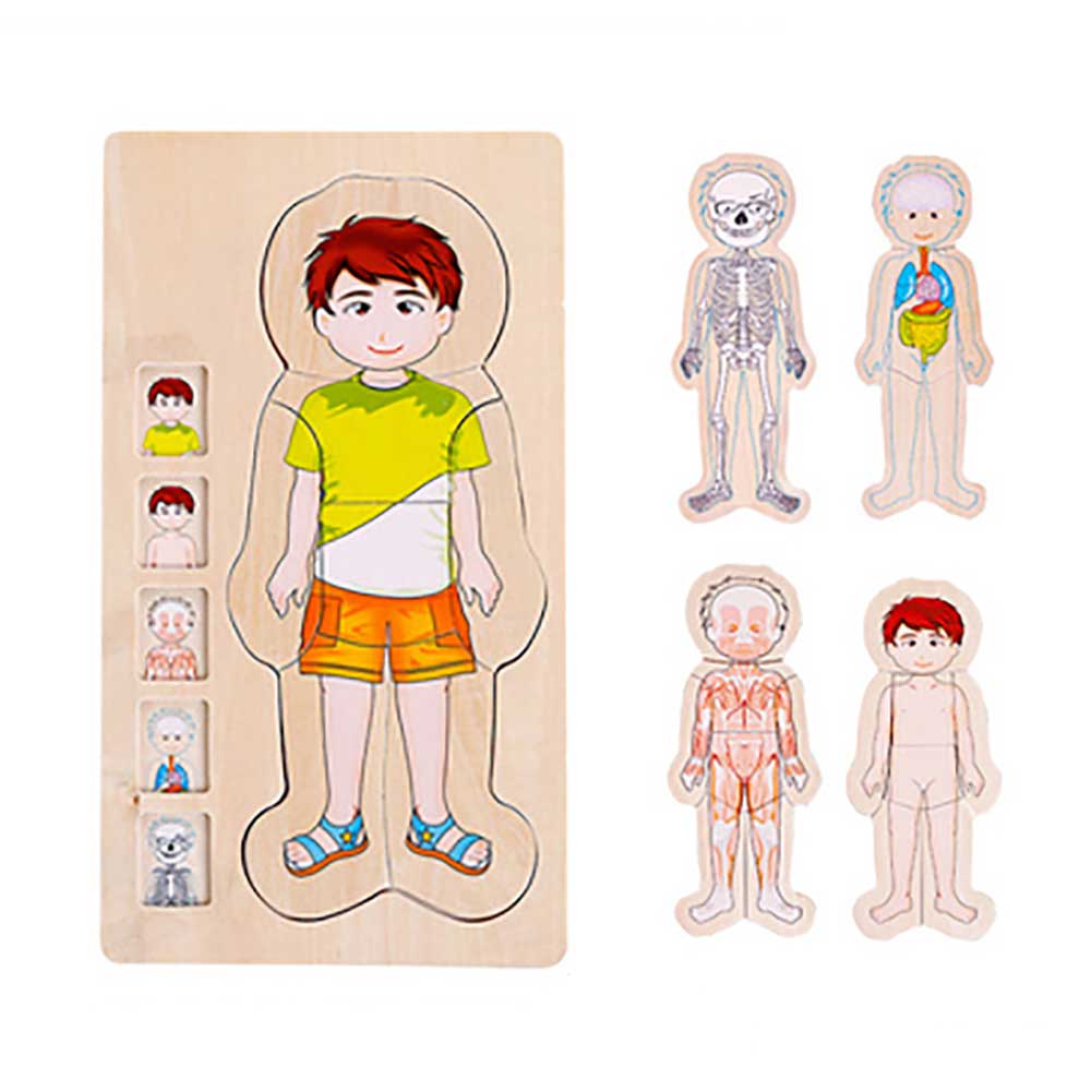 Onshine幼兒蒙氏多層實木拼圖 (人體結構｜男孩)-蒙特梭利玩具-Kidrise🧒🏻STEM香港教育玩具｜STEAM科學實驗玩具｜STEM幼兒教育玩具｜啟智早教玩具｜蒙特梭利教具