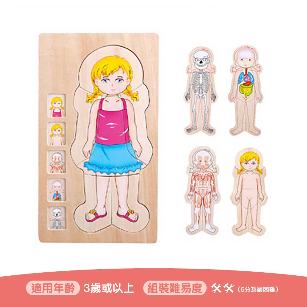 Onshine幼兒蒙氏多層實木拼圖 (人體結構｜女孩)-蒙特梭利玩具-Kidrise🧒🏻STEM香港教育玩具｜STEAM科學實驗玩具｜STEM幼兒教育玩具｜啟智早教玩具｜蒙特梭利教具