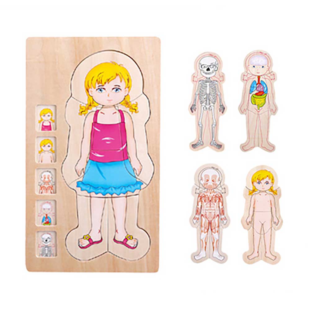 Onshine幼兒蒙氏多層實木拼圖 (人體結構｜女孩)-蒙特梭利玩具-Kidrise🧒🏻STEM香港教育玩具｜STEAM科學實驗玩具｜STEM幼兒教育玩具｜啟智早教玩具｜蒙特梭利教具