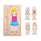 Onshine幼兒蒙氏多層實木拼圖 (人體結構｜女孩)-蒙特梭利玩具-Kidrise🧒🏻STEM香港教育玩具｜STEAM科學實驗玩具｜STEM幼兒教育玩具｜啟智早教玩具｜蒙特梭利教具