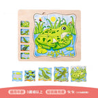Onshine幼兒蒙氏多層實木拼圖 (成長過程｜青蛙)-蒙特梭利玩具-Kidrise🧒🏻STEM香港教育玩具｜STEAM科學實驗玩具｜STEM幼兒教育玩具｜啟智早教玩具｜蒙特梭利教具