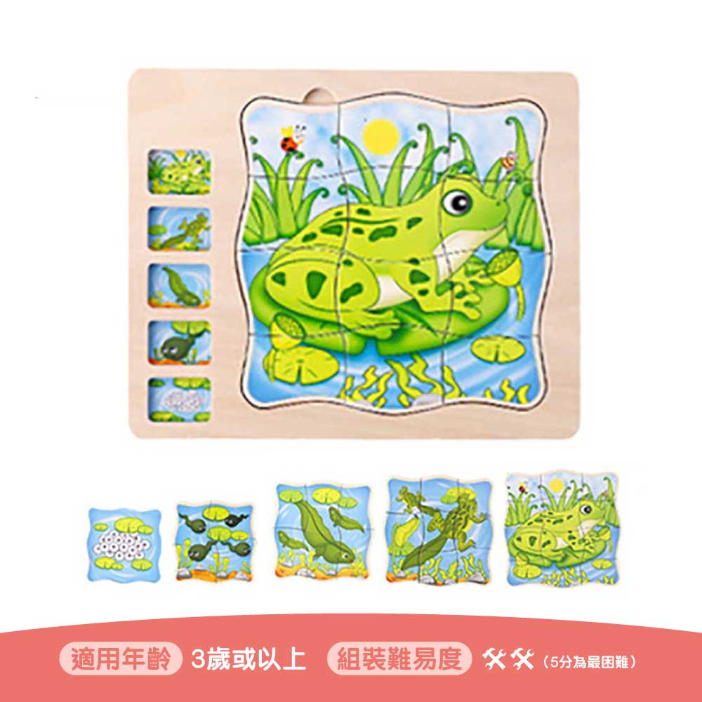 Onshine幼兒蒙氏多層實木拼圖 (成長過程｜青蛙)-蒙特梭利玩具-Kidrise🧒🏻STEM香港教育玩具｜STEAM科學實驗玩具｜STEM幼兒教育玩具｜啟智早教玩具｜蒙特梭利教具
