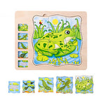 Onshine幼兒蒙氏多層實木拼圖 (成長過程｜青蛙)-蒙特梭利玩具-Kidrise🧒🏻STEM香港教育玩具｜STEAM科學實驗玩具｜STEM幼兒教育玩具｜啟智早教玩具｜蒙特梭利教具