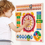 TOI英語日曆時鐘⏰兒童益智拼圖玩具(6合1版)-STEM玩具-Kidrise🧒🏻STEM香港教育玩具｜STEAM科學實驗玩具｜STEM幼兒教育玩具｜啟智早教玩具｜蒙特梭利教具