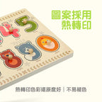 Goryeo Baby蒙特梭利👐手抓木製拼板📜-蒙特梭利玩具-Kidrise🧒🏻STEM香港教育玩具｜STEAM科學實驗玩具｜STEM幼兒教育玩具｜啟智早教玩具｜蒙特梭利教具