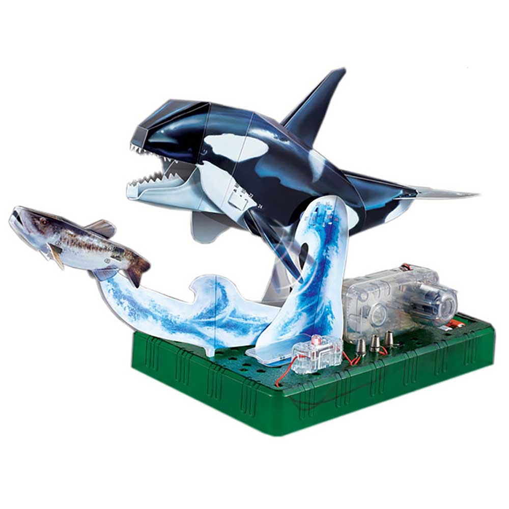 PANGM電動3D立體免裁剪STEM摺紙模型 (虎鯨)-STEM玩具-Kidrise🧒🏻STEM香港教育玩具｜STEAM科學實驗玩具｜STEM幼兒教育玩具｜啟智早教玩具｜蒙特梭利教具