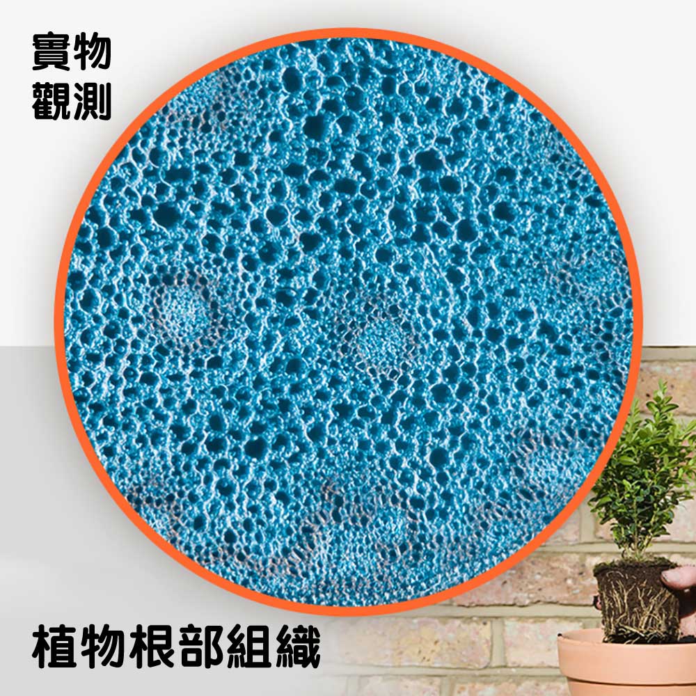 德國🇩🇪BRESSER 1600倍STEM實驗科教顯微鏡🔬(連空白標本載玻片)-STEM玩具-Kidrise🧒🏻STEM香港教育玩具｜STEAM科學實驗玩具｜STEM幼兒教育玩具｜啟智早教玩具｜蒙特梭利教具