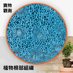 德國🇩🇪BRESSER 1600倍STEM實驗科教顯微鏡🔬(連空白標本載玻片)-STEM玩具-Kidrise🧒🏻STEM香港教育玩具｜STEAM科學實驗玩具｜STEM幼兒教育玩具｜啟智早教玩具｜蒙特梭利教具