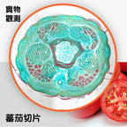 德國🇩🇪BRESSER 1600倍STEM實驗科教顯微鏡🔬(連空白標本載玻片)-STEM玩具-Kidrise🧒🏻STEM香港教育玩具｜STEAM科學實驗玩具｜STEM幼兒教育玩具｜啟智早教玩具｜蒙特梭利教具