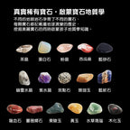 Science Can🇺🇸美國波浪谷石浪岩石💎兒童考古挖掘STEM玩具-STEM玩具-Kidrise🧒🏻STEM香港教育玩具｜STEAM科學實驗玩具｜STEM幼兒教育玩具｜啟智早教玩具｜蒙特梭利教具